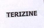 TERIZINE (and logo) trademark logo