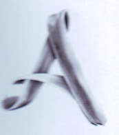 A LOGO trademark logo