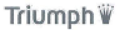 TIRUMPH (and logo) trademark logo