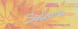 SAADHANA (and logo) trademark logo