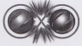 DOUBLE CAPSULE DEVICE (EXCLUDING DOUBLE BRUST) (and logo) trademark logo
