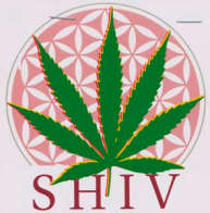 SHIV (and logo) trademark logo