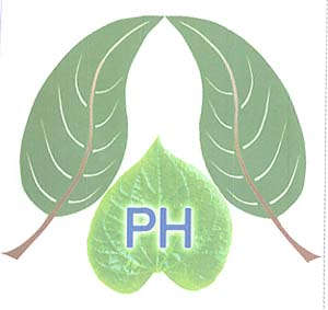 PH (and logo) trademark logo