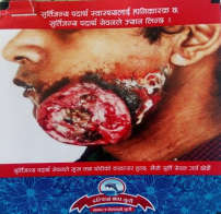 DALPHIN CHAP KHAINI (and logo) trademark logo