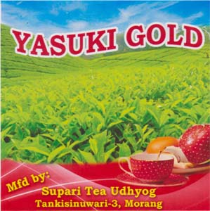 YASUKI GOLD (and logo) trademark logo