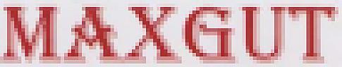 MAX GUT (and logo) trademark logo