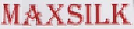 MAX SILK (and logo) trademark logo