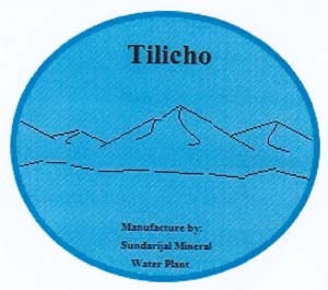 TILICHO (and logo) trademark logo