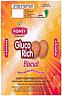 HONEY GLUCO RICH BISCUIT (and logo) trademark logo