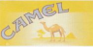 CAMEL (and logo) trademark logo