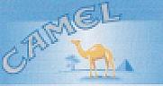 CAMEL (and logo) trademark logo