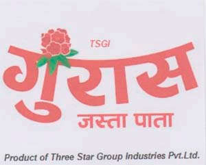 TSGI GURANS (and logo) trademark logo