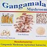 GANGAMALA (and logo) trademark logo