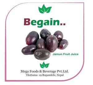 BEGAIN (and logo) trademark logo