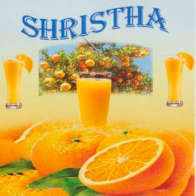 SHRISTHA (and logo) trademark logo