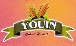 YOUIN (and logo) trademark logo