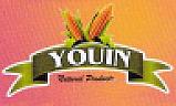 YOUIN (and logo) trademark logo