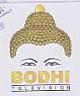 BODHI TELIVISION (and logo) trademark logo