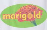 MARI GOLD (and logo) trademark logo