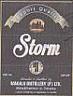 STORM (and logo) trademark logo