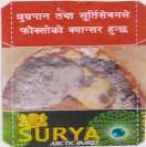 SURYA ARTIC BURST (and logo) trademark logo