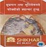 SHIKHAR ICE BLAST (and logo) trademark logo