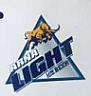 ARNA LIGHT (and logo) trademark logo