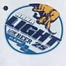 ARNA LIGHT (and logo) trademark logo