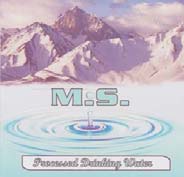 M.S. (and logo) trademark logo