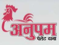 ANUPAM (and logo) trademark logo