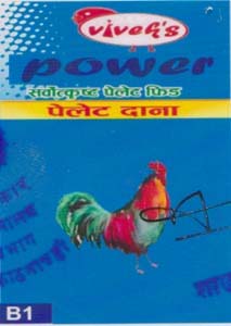 VIVEK'S POWER (and logo) trademark logo