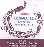 REACH (and logo) trademark logo