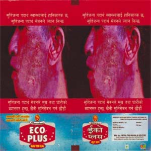 ECO PLUS (and logo) trademark logo