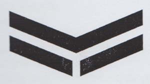 FLYING Y DEVICE (and logo) trademark logo