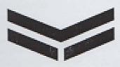 FLYING Y DEVICE (and logo) trademark logo