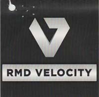 V LOGO (and logo) trademark logo