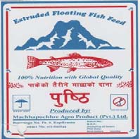 PUSHTHI (and logo) trademark logo