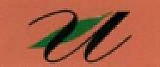 NE (and logo) trademark logo