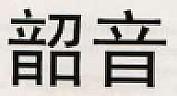 SHAO YIN & CHINESE CHARACTERS (and logo) trademark logo