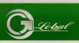 GLOBAL (and logo) trademark logo