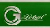 GLOBAL (and logo) trademark logo