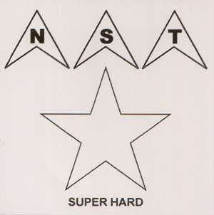 NST (and logo) trademark logo