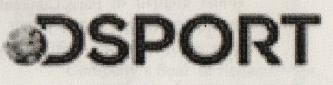 D SPORT & GLOBE LOGO (and logo) trademark logo