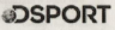 D SPORT & GLOBE LOGO (and logo) trademark logo