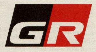 GR WITH COLOUR & DEVICE (and logo) trademark logo