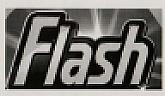 FLASH (and logo) trademark logo