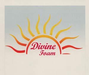DIVINE FOAM (and logo) trademark logo