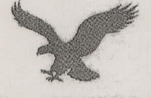 Flying Eagle Design (and logo) trademark logo