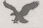 Flying Eagle Design (and logo) trademark logo