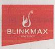 BLINKMAX SINCE2007 Stylized letter and device (and logo) trademark logo